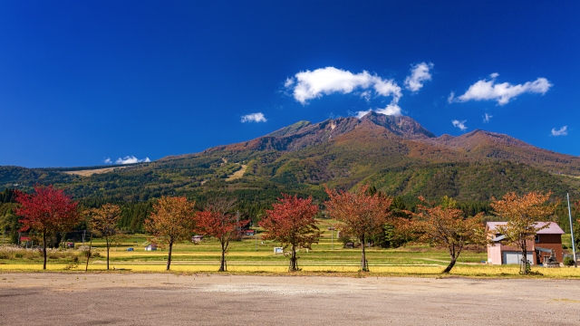 紅葉した木々と青空に映える秋の山岳風景